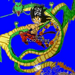 Acid Tribe