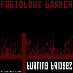 Burning Bridges