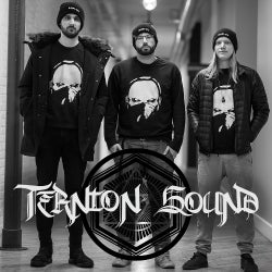 Ternion Sound New Year Selections