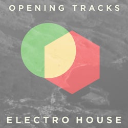 Opening Tracks: Electro House