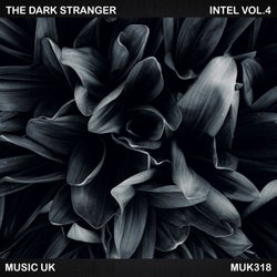 Intel Vol.4