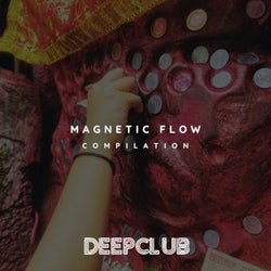 Magnetic Flow