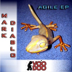 Agile EP
