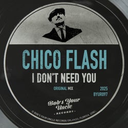 I Don't Need You