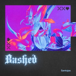 Bashed