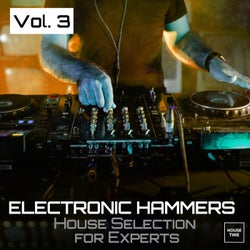 Electronic Hammers, Vol. 3 (House Selection for Experts)
