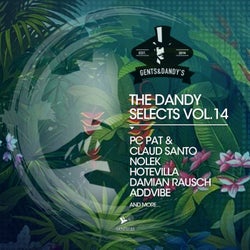 The Dandy Selects, Vol. 14