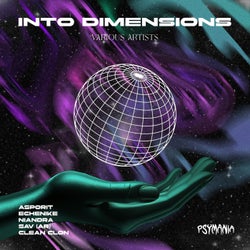 Into Dimensions