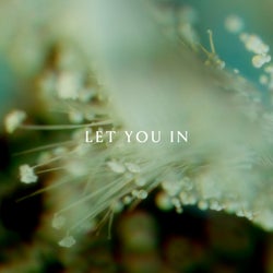 Let You In