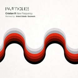 New Frequency (Soulwerk, Artem Kalalb Remixes)