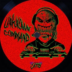 Unknown Command