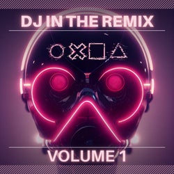 DJ In The Remix - Volume 1