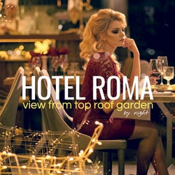 Hotel Roma by Night: View from Top Roof Garden