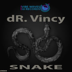 Snake (Lounge Original Mix)