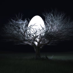 A Photo in the Dark