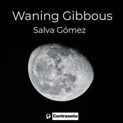 Waning Gibbous