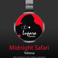 Midnight Safari
