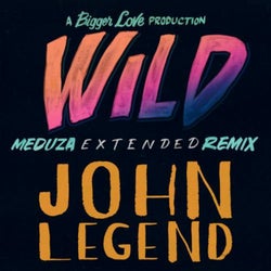 Wild (MEDUZA Extended Remix)