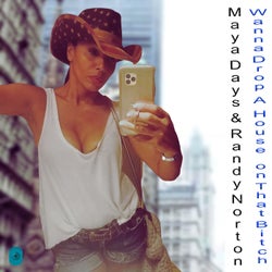 Wanna Drop A House (on That Bitch)