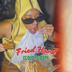 Fried Hard