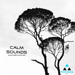 Calm Sounds (Relaxing Ambient and Chill Music)