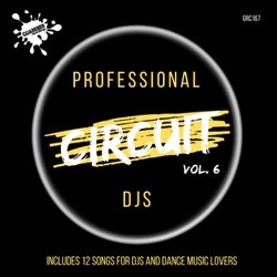 Professional Circuit Djs Compilation, Vol. 6
