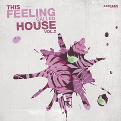 This Feeling Called House, Vol. 2