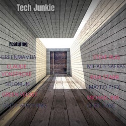 Tech Junkie