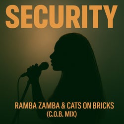 Security (C.O.B.Mix)