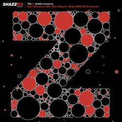 Shazzer Project - The "Z", Pt. 1