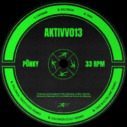 AKTIVV 013