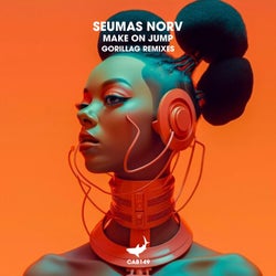 Make on Jump (Gorillag Remixes)