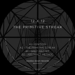 The Primitive Streak