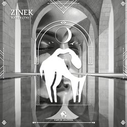 Zinek
