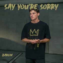 Say You're Sorry