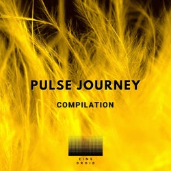 Pulse Journey