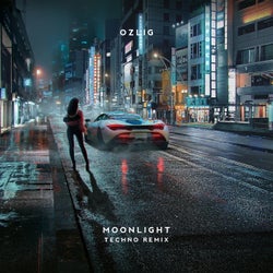 Moonlight (Techno Remix)