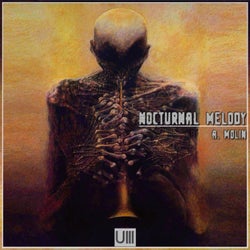 Nocturnal Melody