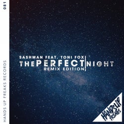 The Perfect Night (Remix Edition)