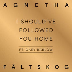 I Should've Followed You Home