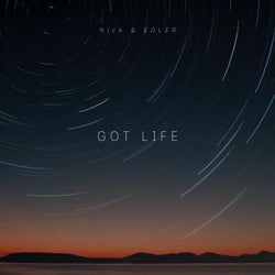 Got Life (Remix)