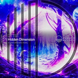 Hidden Dimension
