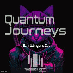 Quantum Journeys