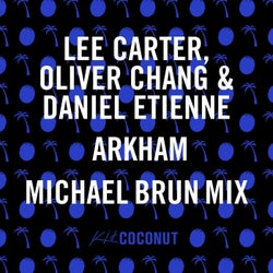Arkham (Michael Brun Remix)