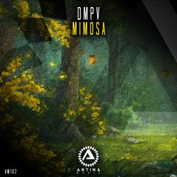 Mimosa