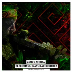 Elementum Naturae Remixed