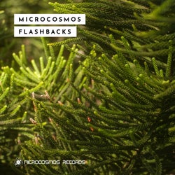 Microcosmos Flashbacks