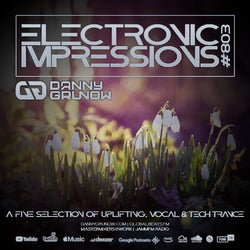 Electronic Impressions 803 with Danny Grunow