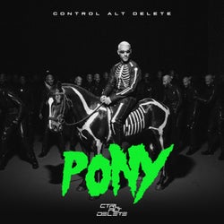 Pony