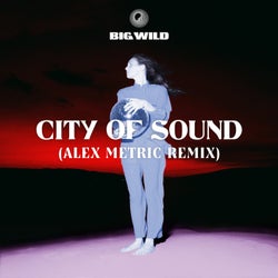 City of Sound (Alex Metric Remix)